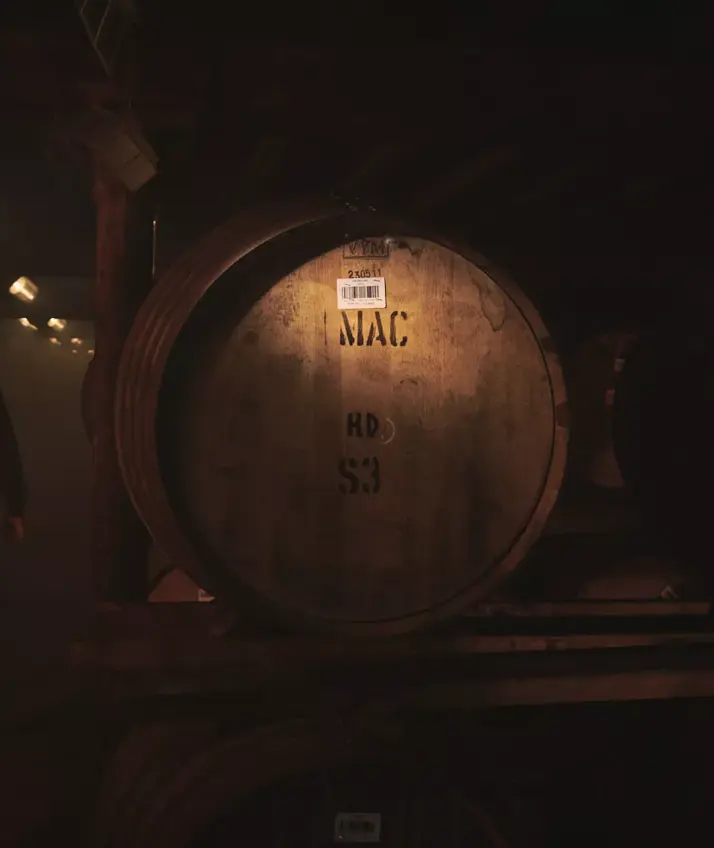 Macallan_Actualidad.webp